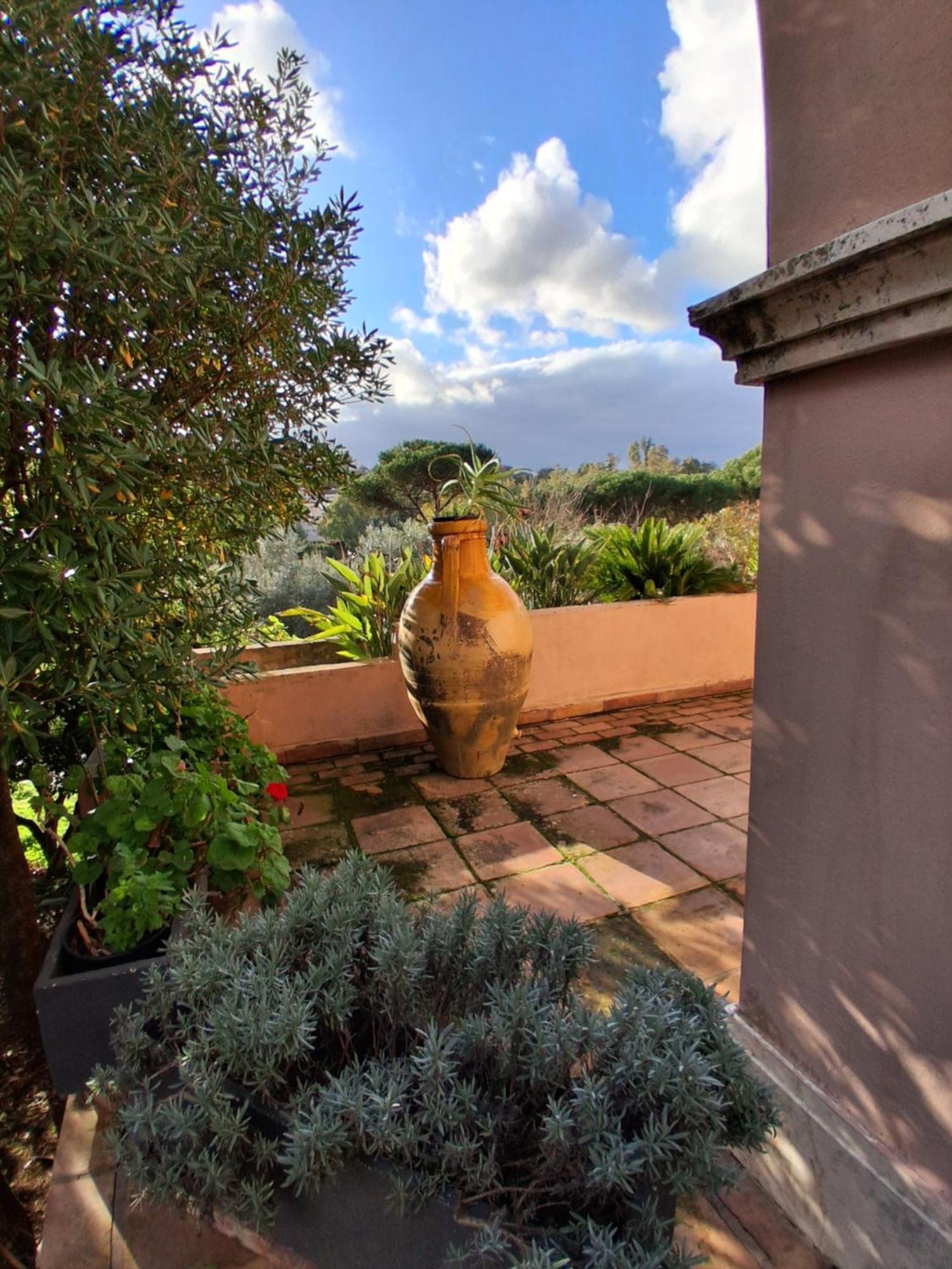 The Olive Grove Villa Rome